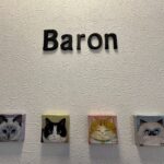 HP用写真_すにゃっくバロン_内観①（大きく）