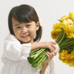 NICE PHOTO STUDIO